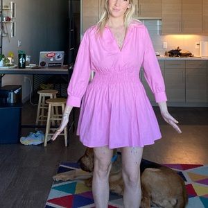 Zara pink size L dress